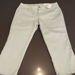 Dressbarn Pale Green Signature Fit Capri NWT